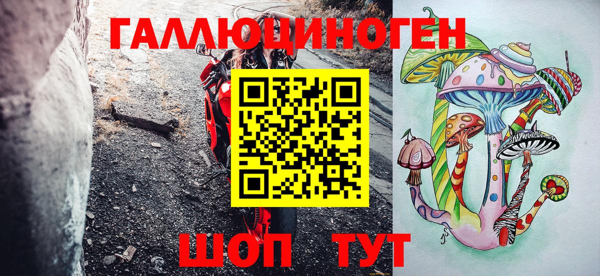 Псилоцибиновые грибы Cubensis Нерюнгри