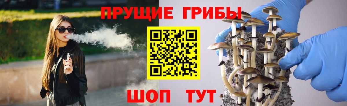 Нерюнгри  Галлюциногенные грибы мицелий  Вход с VPN 